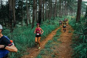 BIB: 
                            <button type="button" onclick="openModal(25657503)" class="btn btn-primary btn-sm float-right btn-popup" data-toggle="modal" data-target=".modal-high-quality">
                        <i class="fas fa-shopping-cart"></i> Add to Cart
                    </button>
                                            <button type="button" onclick="isThisMe(25657503, true)" class="btn btn-success btn-sm float-right btn-popup btn-isme hidden" data-toggle="tooltip" data-placement="bottom" title="นี่คือรูปของคุณใช่ไหม คลิกที่นี่เพื่อเอาเข้าอัลบั้ม">
                        <i class="fas fa-plus"></i> Add to album
                    </button>
                    <button type="button" onclick="isThisMe(25657503, false)" class="btn btn-warning btn-sm float-right btn-popup btn-isnotme hidden">
                        <i class="fas fa-ban"></i> Remove from album
                    </button>